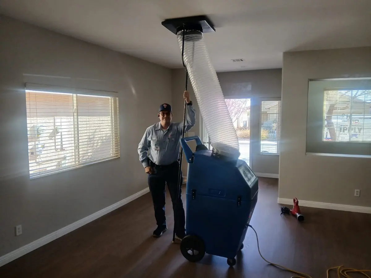 Professional Dryer Vent Cleaning work inside a Merrillville home